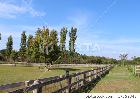 Blume's hill 17358343