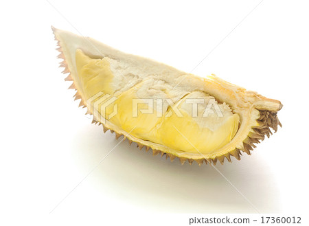 Durian fresh yellow fruit isolated 17360012