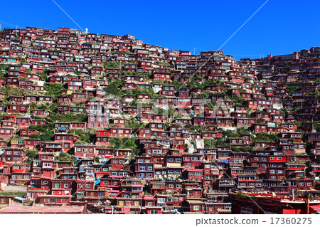 西藏 西藏 17360275