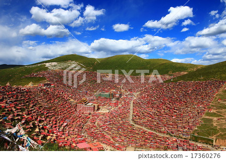 西藏 西藏 17360276