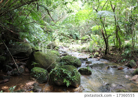 Sagara River 17360555