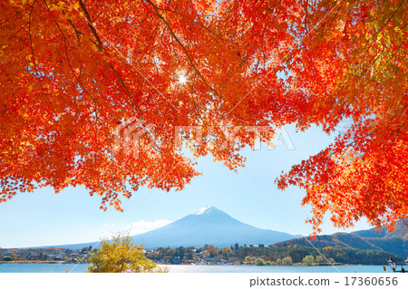 Fuji and Mt. Fuji Fuji and Mt. Fuji 17360656