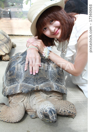 Land turtles and medium-haired women Land turtles and medium-haired women 17360668