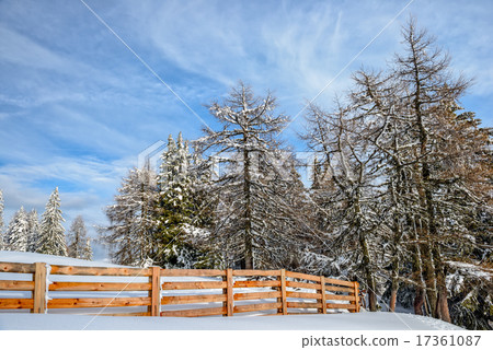 Winter forest and wood fence 17361087