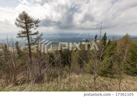 Beautiful view of the Slovakia mountains. Beautiful view of the Slovakia mountains. 17361105