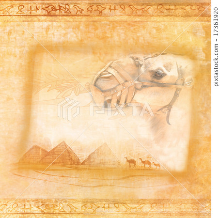 camel caravan in wild africa camel caravan in wild africa 17361920