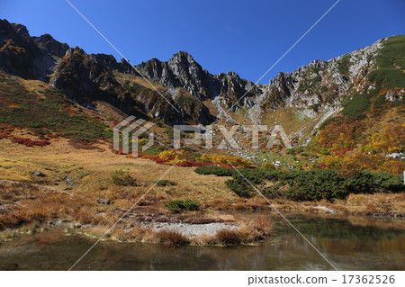 Mountain foliage　 17362526