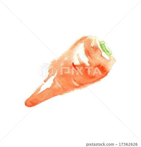 carrot carrot 17362626