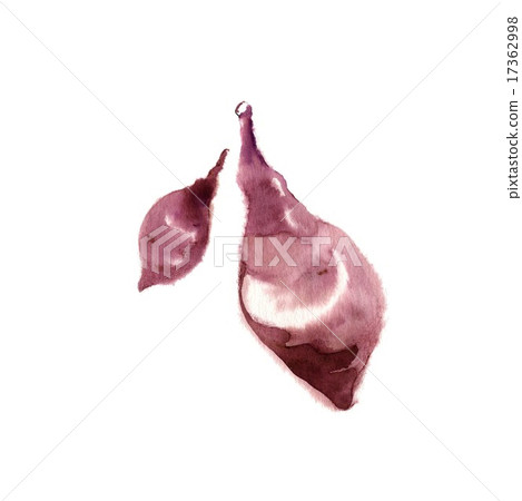 sweet potato 17362998