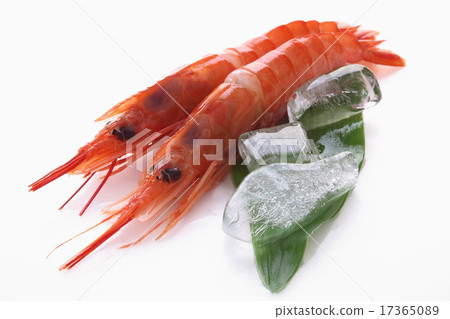 紅色蝦阿根廷紅色蝦食品成分白色背景 17365089