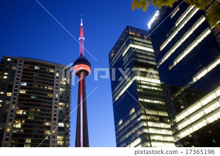 Night Photo Toronto City Night Photo Toronto City 17365196