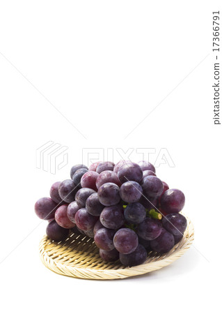 Fruit Pione秋天品嚐葡萄 17366791