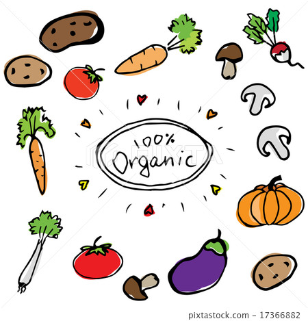 hand drawn fresh color vegetables 17366882