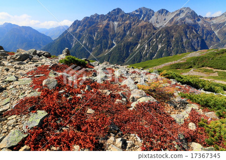 Autumn tints of the black beetle of the butterfly mountain and Hodaka mountains 17367345