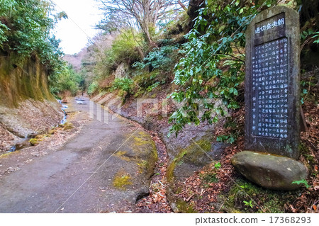 Asani Natiru 17368293