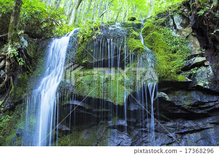Tama Falls Waterfall 17368296