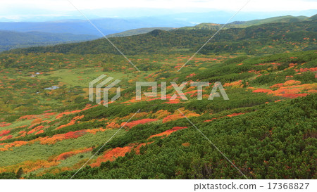 秋葉Asahidake視圖 17368827