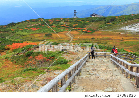 秋葉Asahidake視圖 17368829