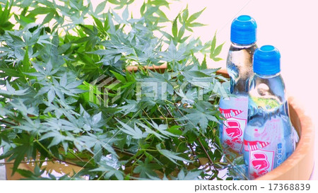 16: 9 Ramune & Momiji calling for coolness 16: 9 Ramune & Momiji calling for coolness 17368839