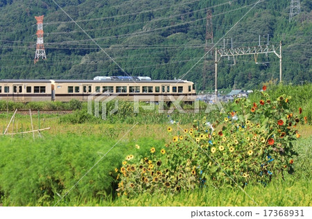 Kosan line running in Yoga-cho 17368931