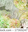 floral postcard pastel color 17369247
