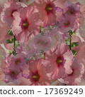 bouquet pink florals on grey background 17369249