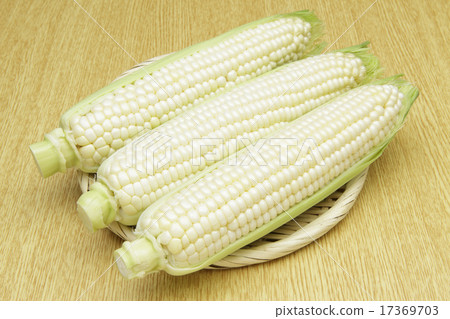 來自北海道的白玉米 17369703