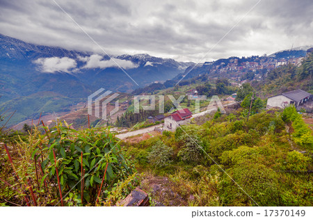 Rice field terraces. Sapa Vietnam 17370149