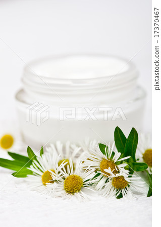 cream and camomiles cream and camomiles 17370467