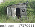 Old wooden building in the bushes 17370911