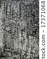 The bark of the old dry birch 17371068