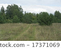 Track in the field, leading to the forest. 17371069
