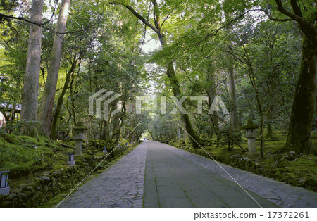 Nagatachi-ji寺的風景點 Nagatachi-ji寺的風景點 17372261