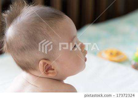 4 months old baby 4 months old baby 17372324