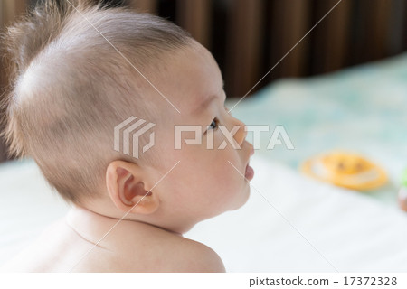 4個月大的寶寶 17372328