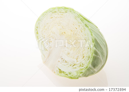 半切白菜 半切白菜 17372894