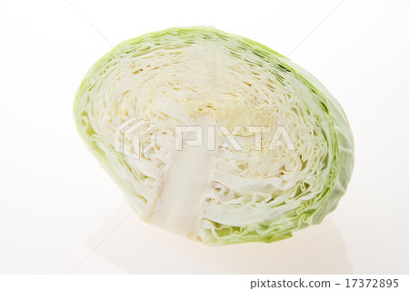 Half-cut cabbage Half-cut cabbage 17372895