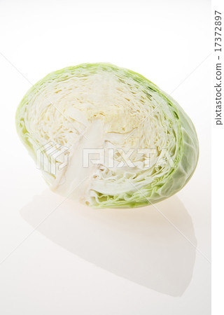 Half-cut cut cabbage Half-cut cut cabbage 17372897
