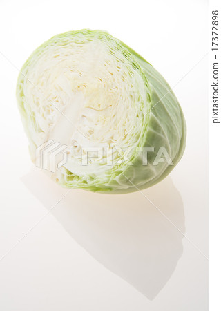 Half-cut cut cabbage 17372898