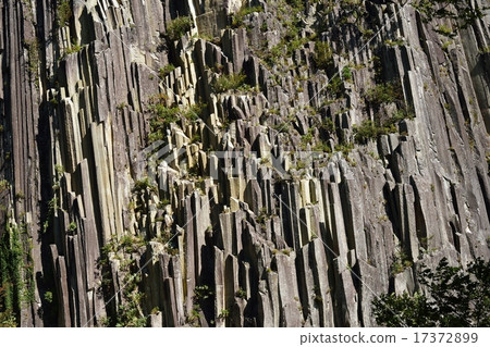 Columnar joint of quartz andesite 17372899