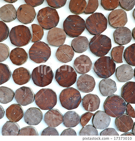 small tree bark on wall as background small tree bark on wall as background 17373010