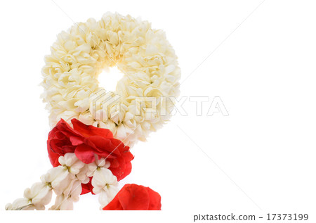 Thai jasmine garland isolated on white Thai jasmine garland isolated on white 17373199