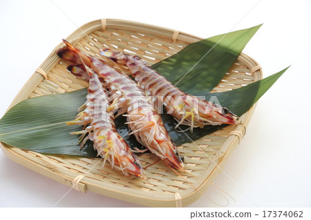 Lively car shrimp 17374062