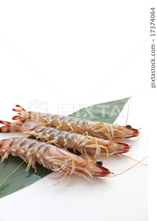 Lively car shrimp 17374064