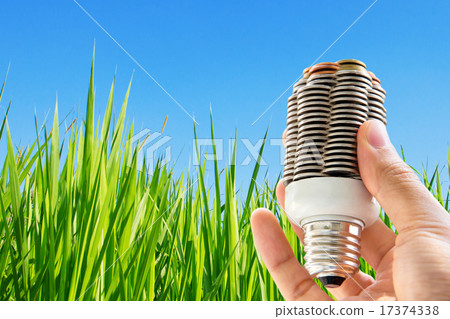 hand holding coin light bulb hand holding coin light bulb 17374338