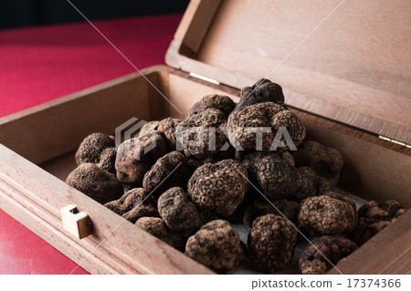 Black truffle from Italy 17374366