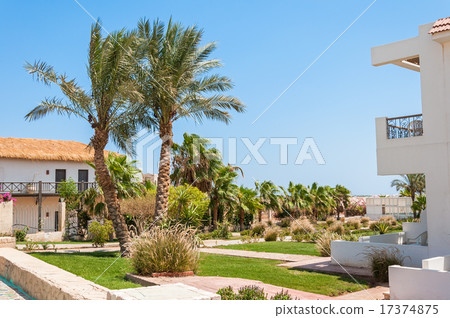 Palm trees and stone pathway in tropical garden Palm trees and stone pathway in tropical garden 17374875