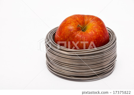 Wired apple 17375822
