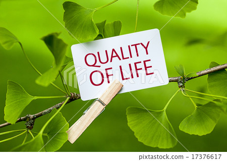 „Quality of Life" in a Ginkgo Tree „Quality of Life" in a Ginkgo Tree 17376617