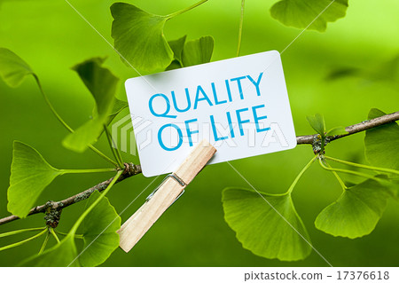 „Quality of Life" in a Ginkgo Tree  17376618